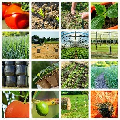 Comercial Diseño Agricola 