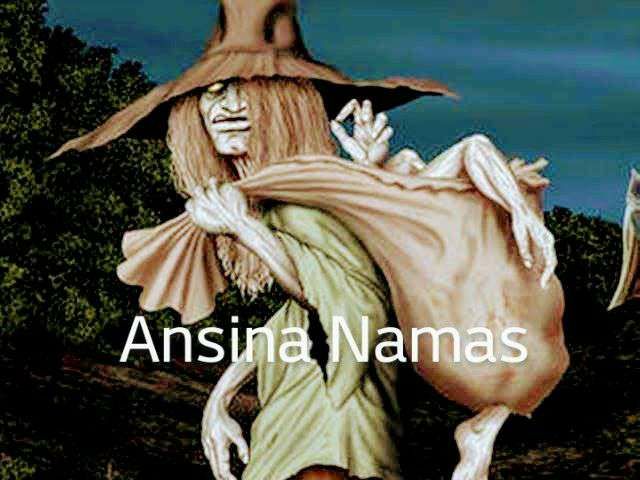 Ansina Namas AI 